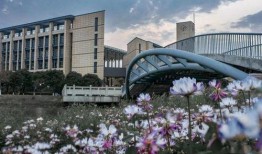 大爆料汉口学院视频播放,大爆料视频背后的真相与内幕